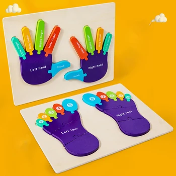 Деревянная головоломка в форме ладони и стопы, инструмент для раннего обучения ребенка в детском саду, цветная и цифровая познавательная доска-игрушка