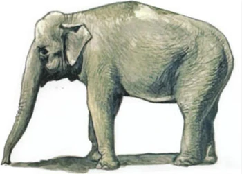 Набор фигурок из смолы 1/48 Азиатского слона (1 фигурка) Комплект моделей из неокрашенной гаражной смолы