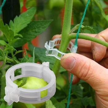 Пластиковые зажимы для растений, Поддерживающие, соединяющие Многоразовую защиту, инструмент для прививки и крепления, Садовые принадлежности для овощей, помидоров