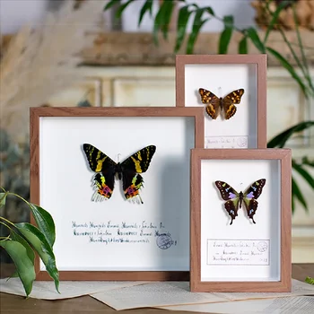 Фоторамка с образцом настоящей бабочки, образец насекомого, настенное искусство, простой орнамент Мори в деревенском стиле, декоративная живопись, креативный подарок