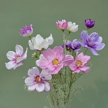 Цветок Гесанг с одной веткой, 4 вилки, искусственные цветы, имитация Поддельного цветка, Шелковый цветок, Композиция для гостиной, Свадебный декор